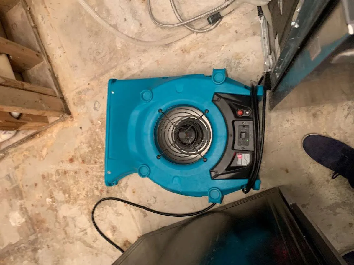 Air mover drying equipment for Mold Remediation & Removal in Sky Lake